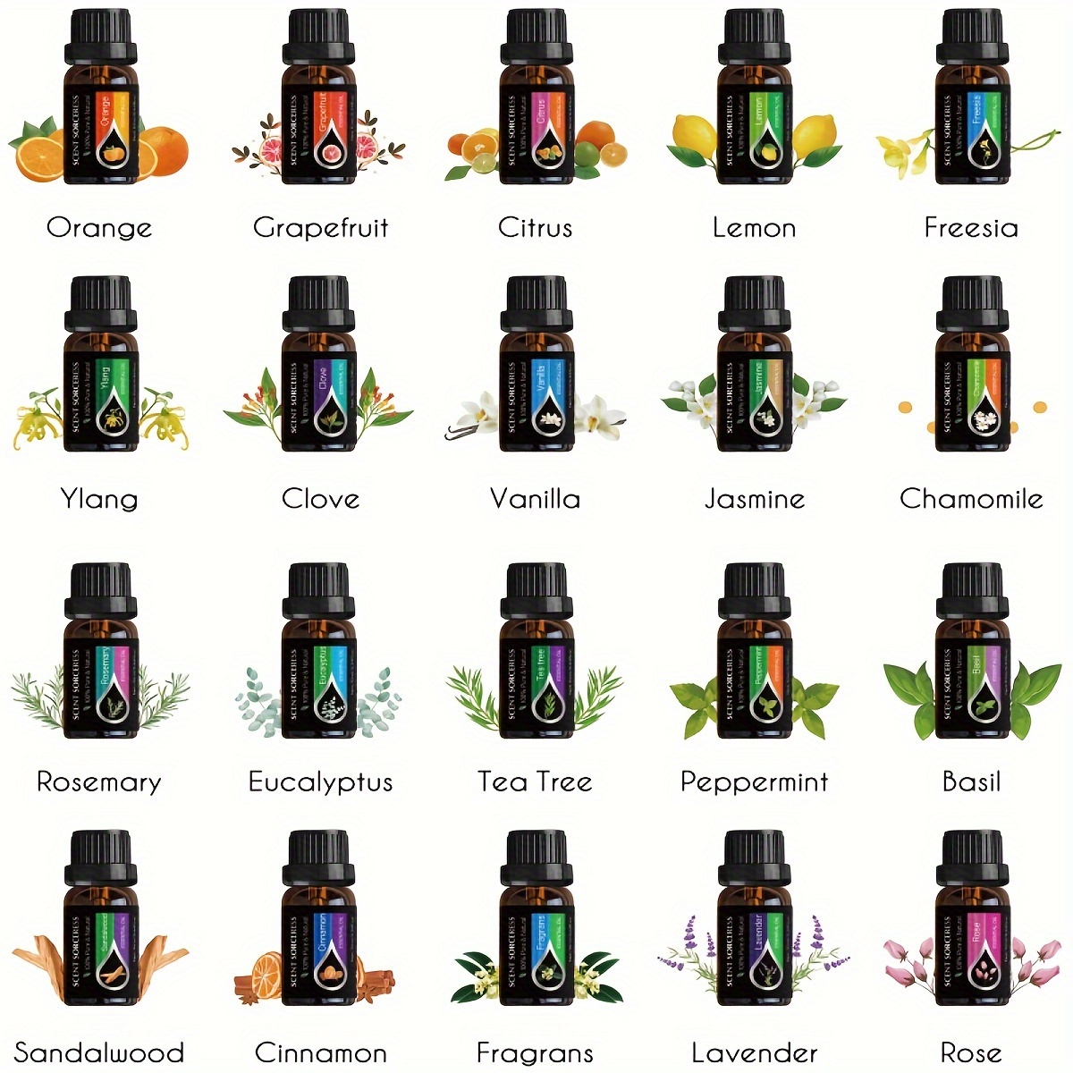 20Pcs/Set Classic Brand Essent - Essential Oil Blend ulasan dan harga